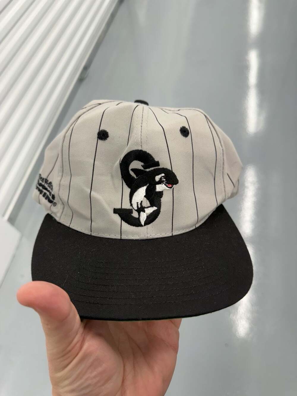 Sea World Shamu Pinstripe Snapback Hat Extinction Is Forever
